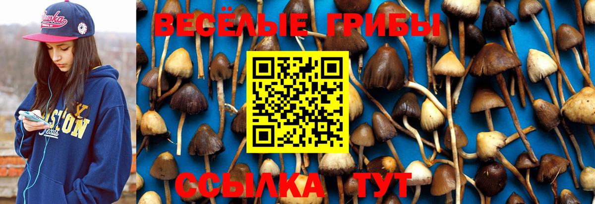 Галлюциногенные грибы мухоморы  Вход с VPN  Пятигорск 