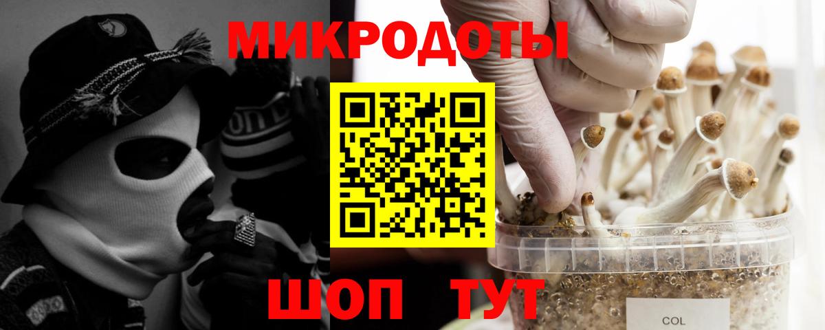Псилоцибиновые грибы GOLDEN TEACHER Пятигорск